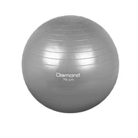 Gym Ball D.75 Cm