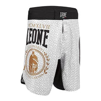LEONE AB77204