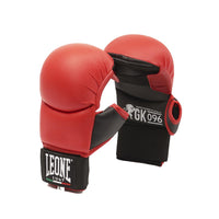 Karate Gloves