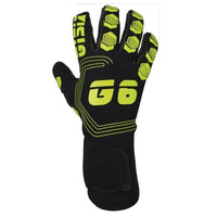 GISIX G1000