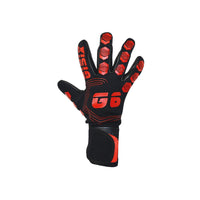 GISIX G1220