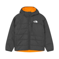 THE NORTH FACE NF0A7X4R84P1