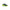 Calcetto Xpander Jr XPJW 2233TFV JOMA 