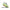 Running Mach 7 Donna 1171938 FYZ HOKA 