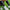 Parastinchi Shinguards SGSL01 0 TAPEDESIGN 