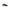 Running Super Gross Jr JCROSW 2501 JOMA 