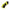 Calcetto Maxima MAXW 2409TF JOMA 