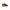 JOMA JCROSW2401V