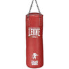 Sacco Allenamento Pro 20 KG