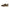 Trail Speedgoat 6 Uomo 1147791 AQL HOKA 