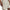 Shorts Cargo Vibe Woven Uomo 77-1386560 0289 UNDER ARMOR 