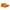 Running Novablast 5 Uomo 1011B974 800 ASICS 