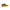 JOMA TKSIMW2416
