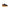 Running Super Cross Jr JCROSW 2401V JOMA 